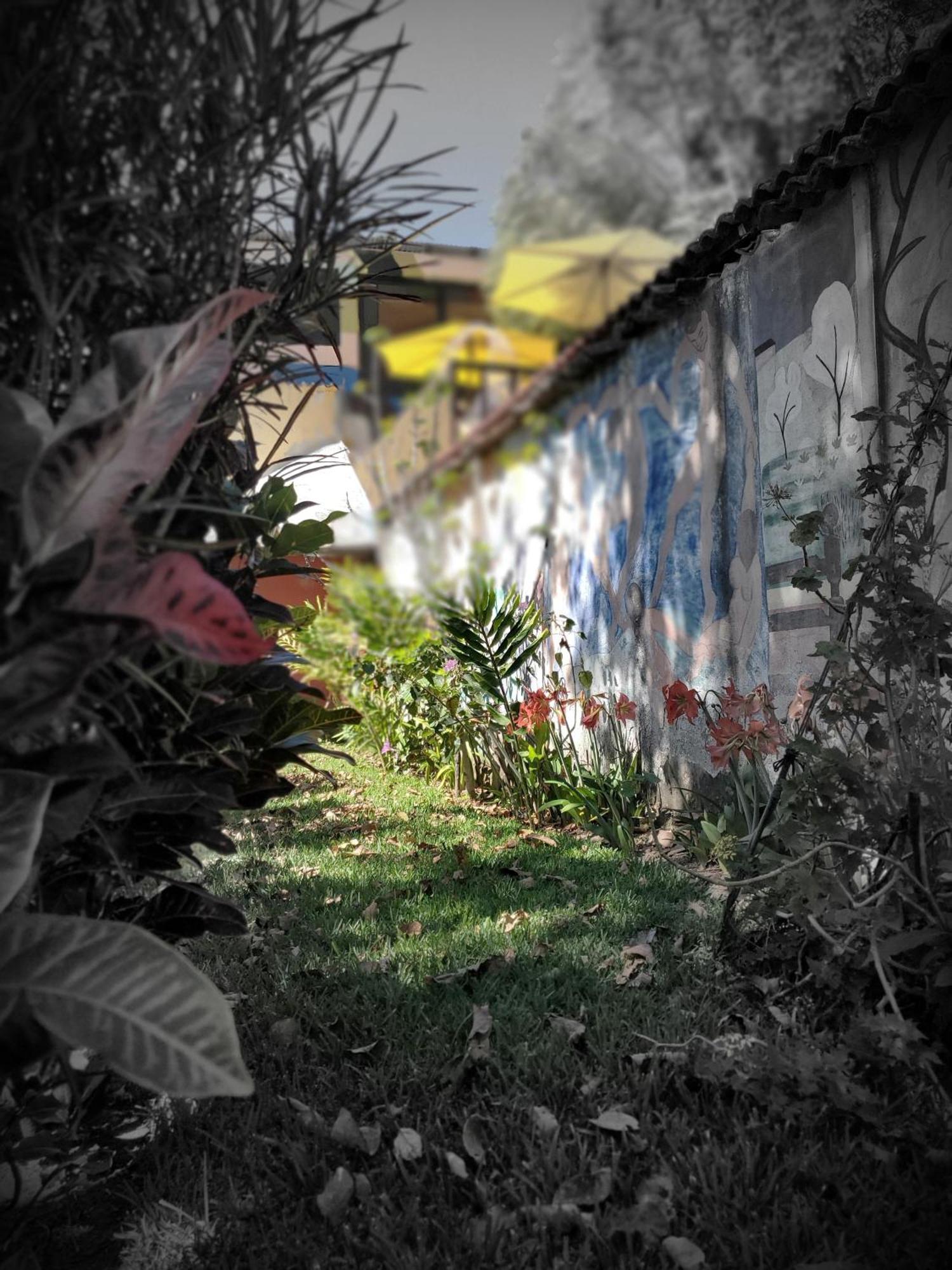 Art & Coffee Otel Santa Cruz La Laguna Dış mekan fotoğraf